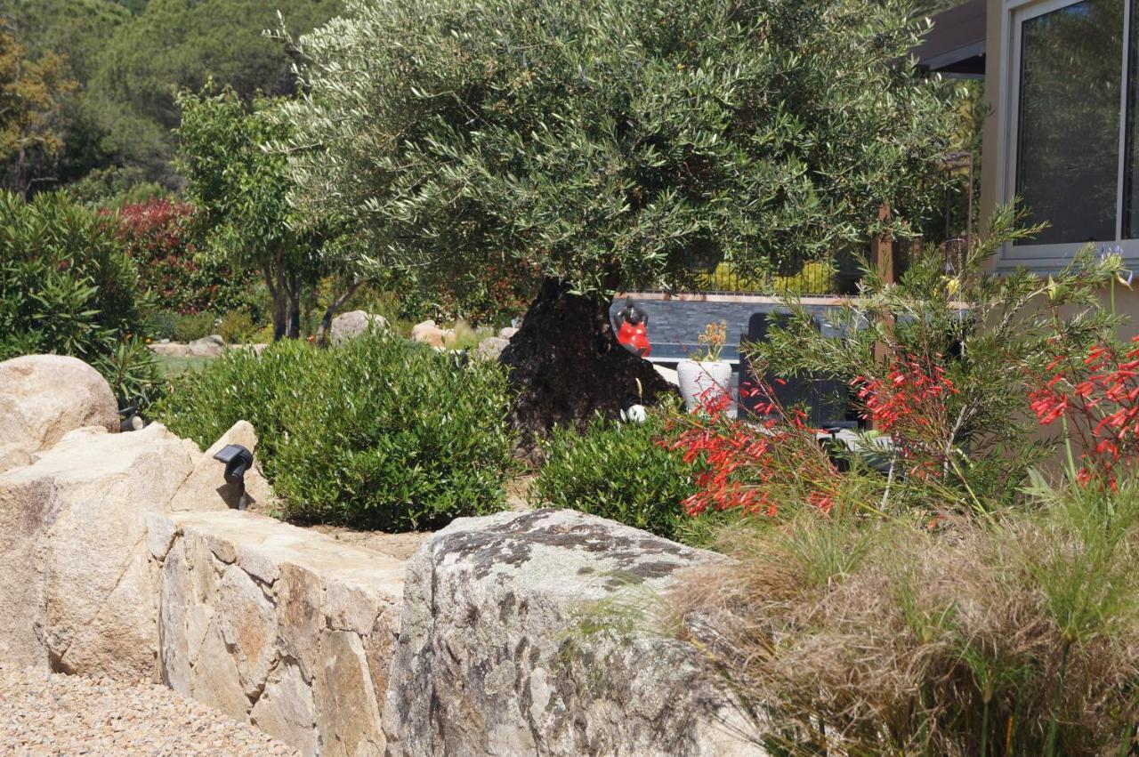 Les Jardins De Santa Giulia - Charmante Chambre D'Hote Porto-Vecchio  Exterior foto